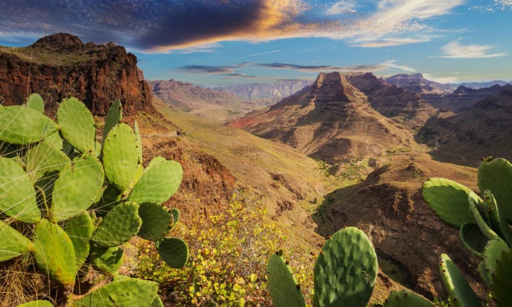 gran canaria zazitky cover 1000x600 rZopCL - Pelikán AKČNÍ LETENKY