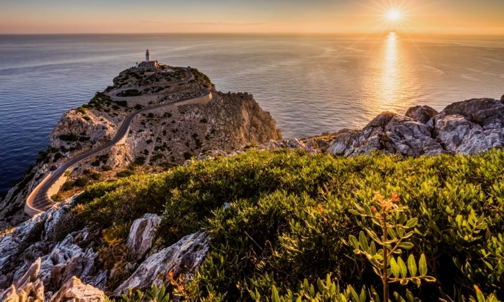 mallorca flights cover 1000x600 6CLENv - Pelikán AKČNÍ LETENKY